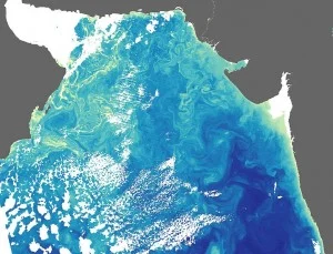 782px-ArabianSea_AMO_2005053_crop