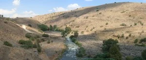 800px-Yarden_034PAN2