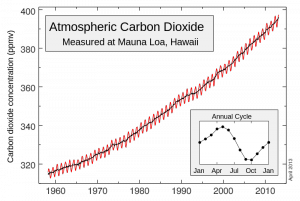 The Keeling Curve: Atmospheric CO2 concentrations as measured at Mauna Loa Observatory. Source - Narayanese, Wikimedia Commons