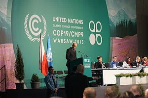 COP19_opening_(22)
