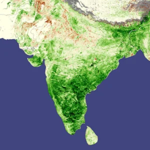 India is a very green and wet country courtesy of its regular monsoons but poor management and overexploitation has left is with problems with water scarcity. Source - Wikimedia Commons