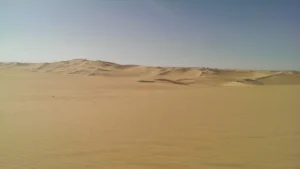 IMAG2281