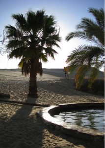 Hot sulphurous springs at Bir Wahed. Image Author's own. 