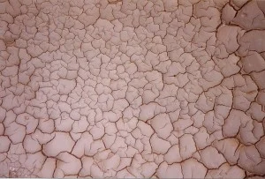 800px-Drying_mud_with_120_degree_cracks,_Sicily