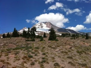 Mt Hood in the Cascades, Portland, USA. Credit: Katherine Cooper