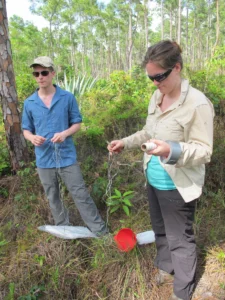 KT demonstrating the fieldwork essentials: penknife, string, gaffer tape and a bored looking field assistant! Photo credit: Didi Ooi