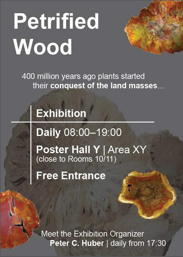 petrifiedwoodposter