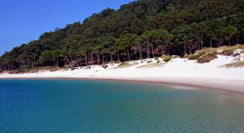 Praia das Rodas by Jorge Mataix-Solera, distributed by EGU under a Creative Commons licence.