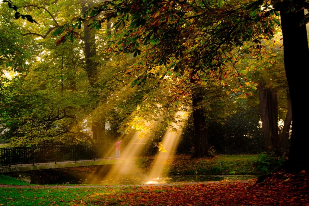Light reflection
