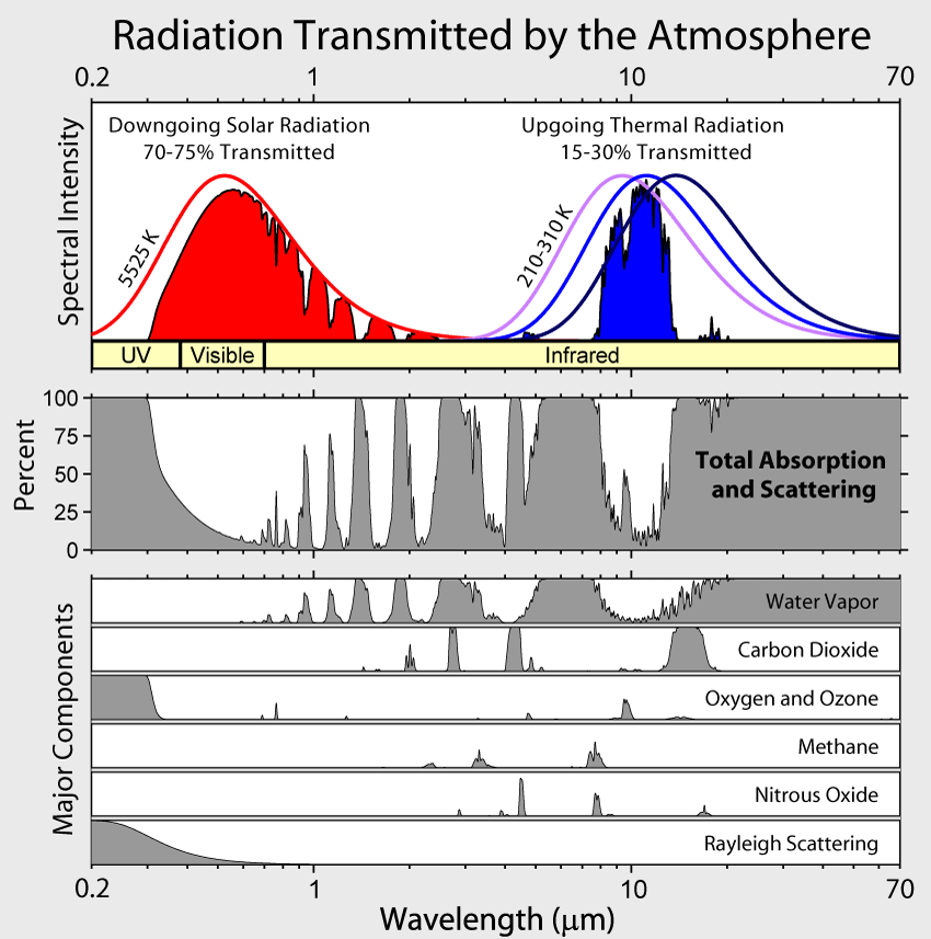 Absorption lines