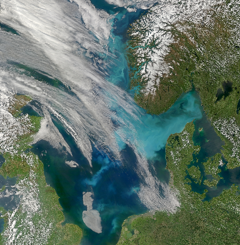 Coccolith bloom in the Skagerrak. The white calcareous shells of coccolithophores is responsible for the milky colour of this coastal water (Credit: NASA/MODIS/SeaWiFS)