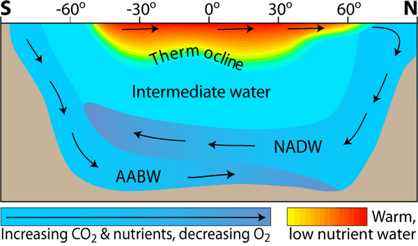 Water circulation in the Atlantic Ocean. Temperature and salinity dictate the density of a water mass and thus, its position in the water column, with warmer, fresher water at the ocean surface and colder, more saline water at depth. (Credit: SEOS)