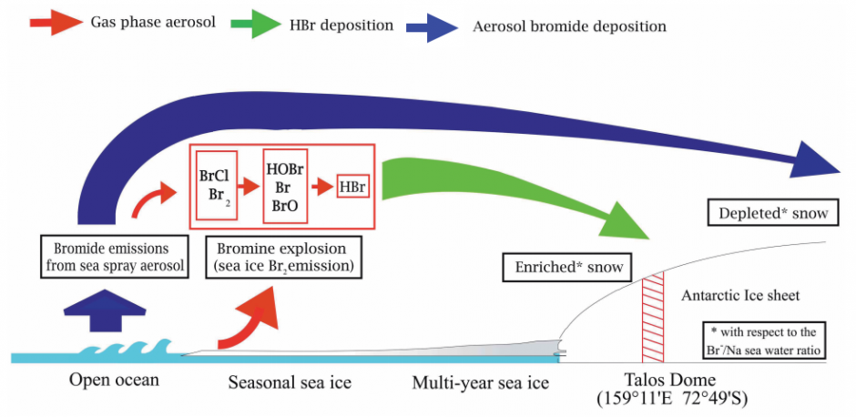 How bromine ions (bromide) makes it way from the ocean to the atmosphere and onto the surface of Antarctica (where it is later compacted by layers of snow, forming ice, and drilled to produce the Talos Dome ice core). Blue, red and green lines indicate aerosol-phase bromide, gas-phase bromide and hydrogen bromide, respectively. (Credit: Spolaor et al., 2013)