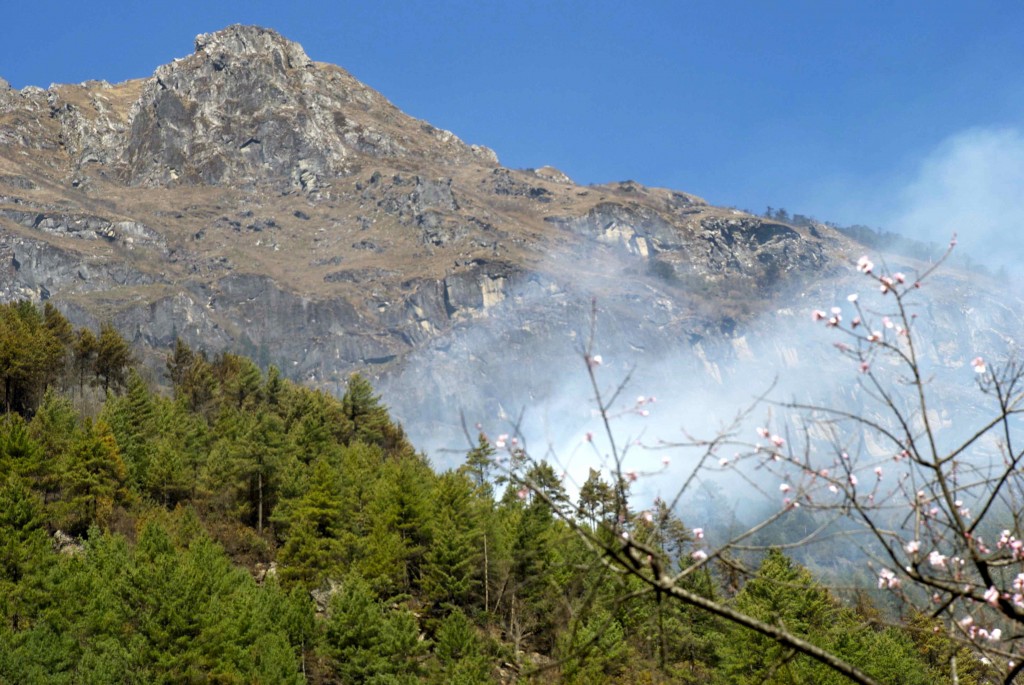 A forest fire broke out in the Khumbu Valley. (Credit: Jane Qiu)