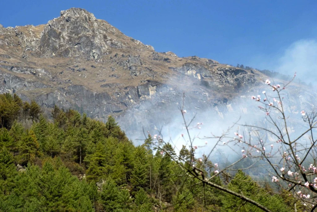 A forest fire broke out in the Khumbu Valley. (Credit: Jane Qiu)