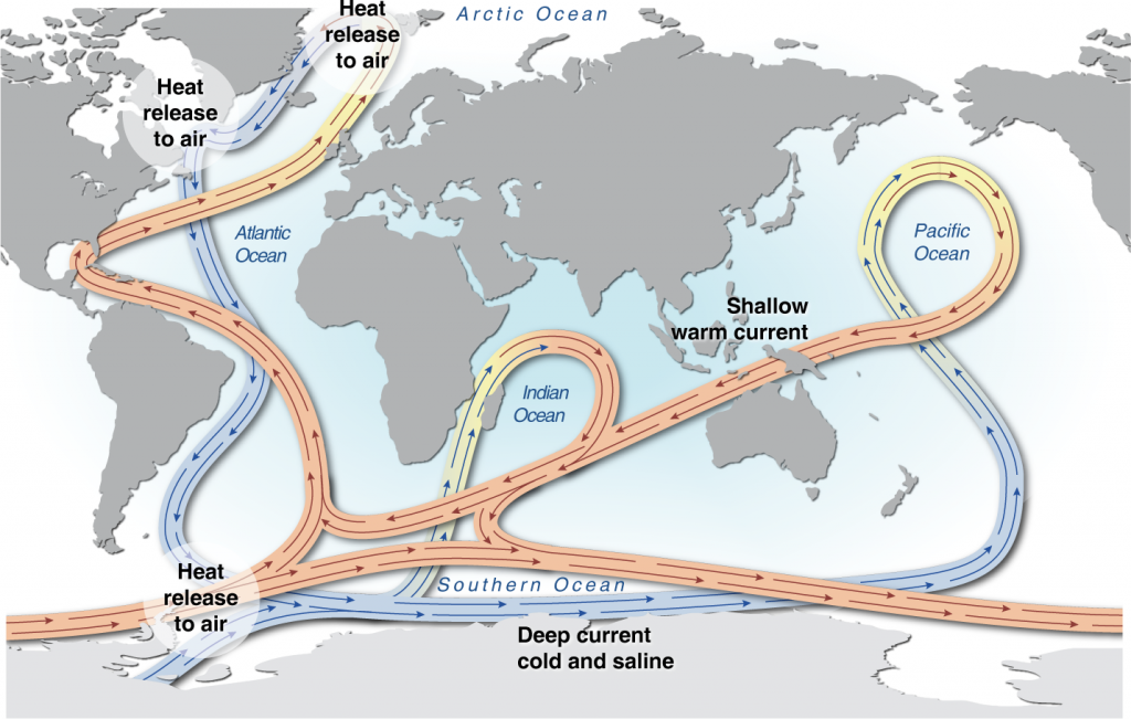 The global ocean conveyor belt. Blue indicates the movement of cold deep water masses and red indicates the warm surface currents that make up thermohaline circulation in the ocean. (Credit: UNEP)