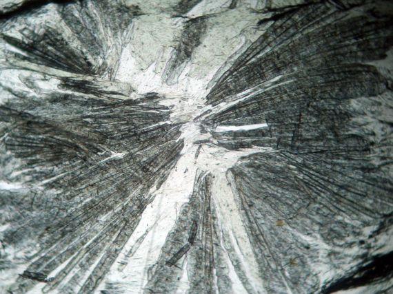 Chloritoid
