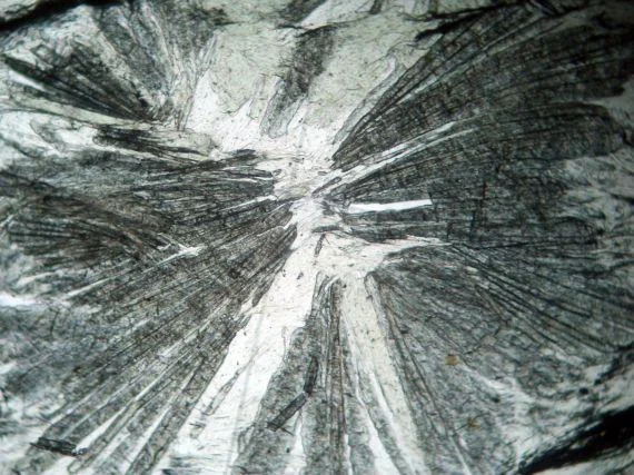 Chloritoid