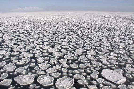 Pancake ice in Drake Passage, the Southern Ocean by Kenneth Mankoff. This photo is distributed by the EGU under a Creative Commons licence.