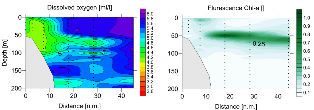 CTD data mirroring the linkage between linkage between oxygen content and phytoplankton abundance as indicated by the chlorophyll. (Credit: Jens Weiser)