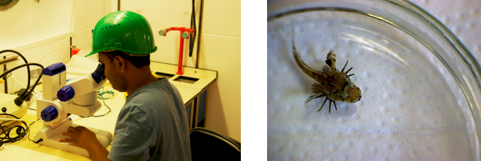 Safety first! The nets recovered quite a number of peculiar organisms, so better be safe than sorry.