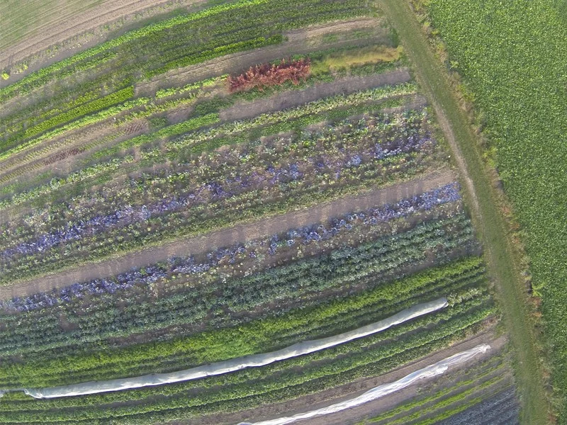 An aerial photo of an organic farm, taken from a kite! (Credit: Kristof Van Oost, distributed via imaggeo.egu.eu)