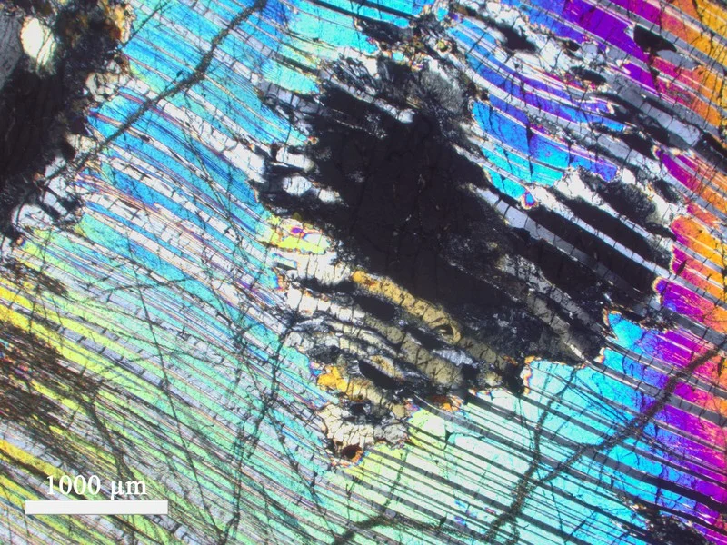 Thin section heart