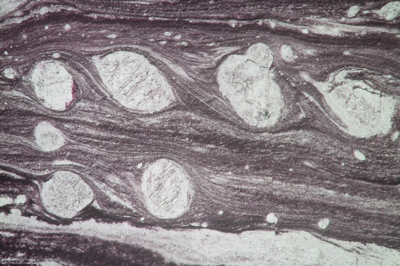 A thin section microphotograph (total width ~0.5 mm) showing several feldspar crystals with bended tails. These tails show that they have slowly rotated counter-clockwise. These rolling structures are characteristic of left-lateral ductile deformation. (Credit: Philippe Leloup via imaggeo.egu.eu).