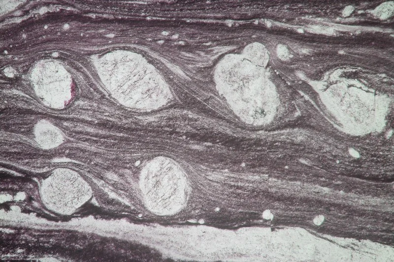  A thin section microphotograph (total width ~0.5 mm) showing several feldspar crystals with bended tails. These tails show that they have slowly rotated counter-clockwise. These rolling structures are characteristic of left-lateral ductile deformation. (Credit: Philippe Leloup via imaggeo.egu.eu).
