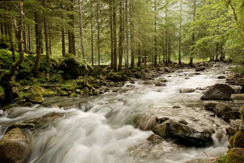 Life in the Italian Alps. (Credit: Christian Massari via imaggeo.egu.eu)