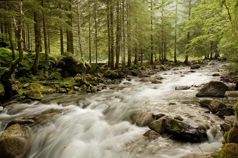 Life in the Italian Alps. (Credit: Christian Massari via imaggeo.egu.eu)