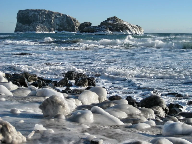 Pacific coast of the Kamchatka Peninsula in winter. (Credit: Dmitry Savelyev via imaggeoegu.eu)