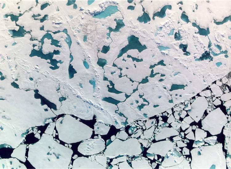 Meltwater ponds. (Credit: Don Perovich)