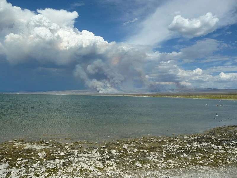 Desert fires close to Mono Lake, California. (Credit: Gabriele Stiller via imageo.egu.eu)