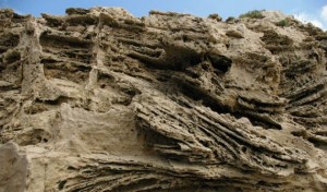 Fossil Dune