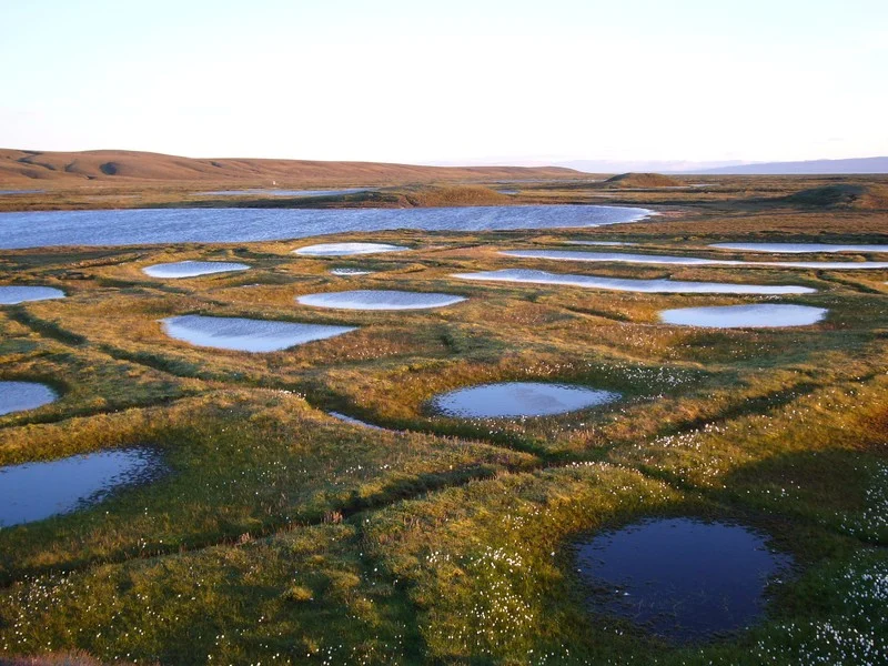 Polygon ponds at sunset. (Credit: Reinhard Pienitz, via imaggeo.egu.eu)