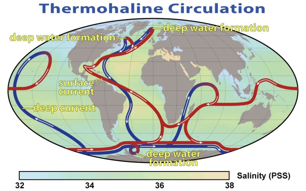 This map shows the pattern of thermohaline circulation. This collection of currents is responsible for the large-scale exchange of water masses in the ocean, including providing oxygen to the deep ocean. The entire circulation pattern takes ~2000 years. Credit: Nasa Earth Observatory.
