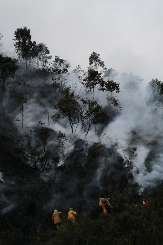 Geosciences Column: Fire in ice – the history of boreal forest fires told by Greenland ice cores.
