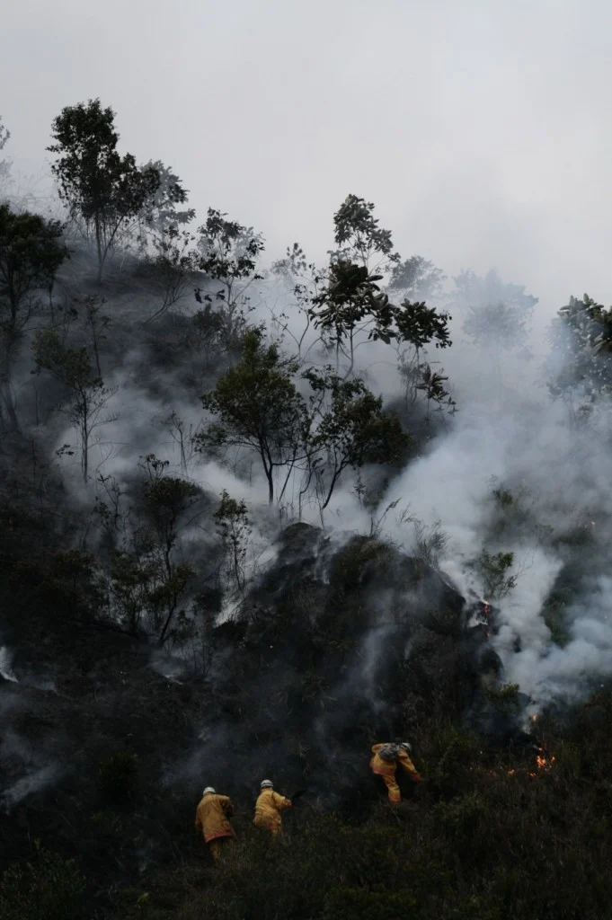 Geosciences Column: Fire in ice – the history of boreal forest fires told by Greenland ice cores.