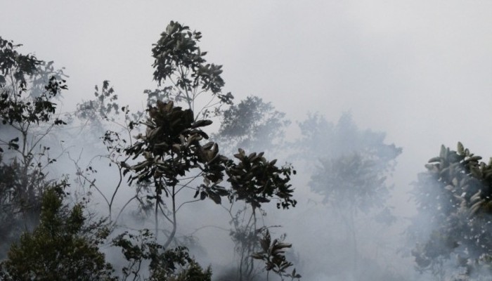 Geosciences Column: Fire in ice – the history of boreal forest fires told by Greenland ice cores.
