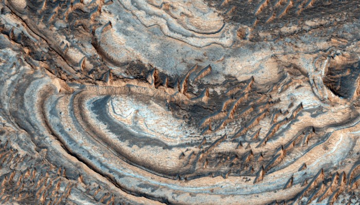Geosciences Column: The quest for life on Mars