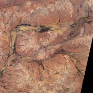 Image by Robert Simmon, based on data from the University of Maryland’s Global Land Cover Facility