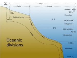 The divisions of the worlds oceans. Attribution: K. Aainsqatsi, distributed via Wikipedia.org