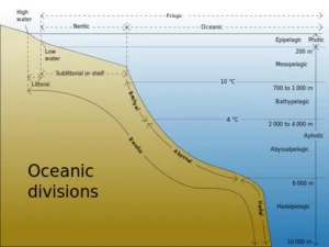 The divisions of the worlds oceans. Attribution: K. Aainsqatsi, distributed via Wikipedia.org