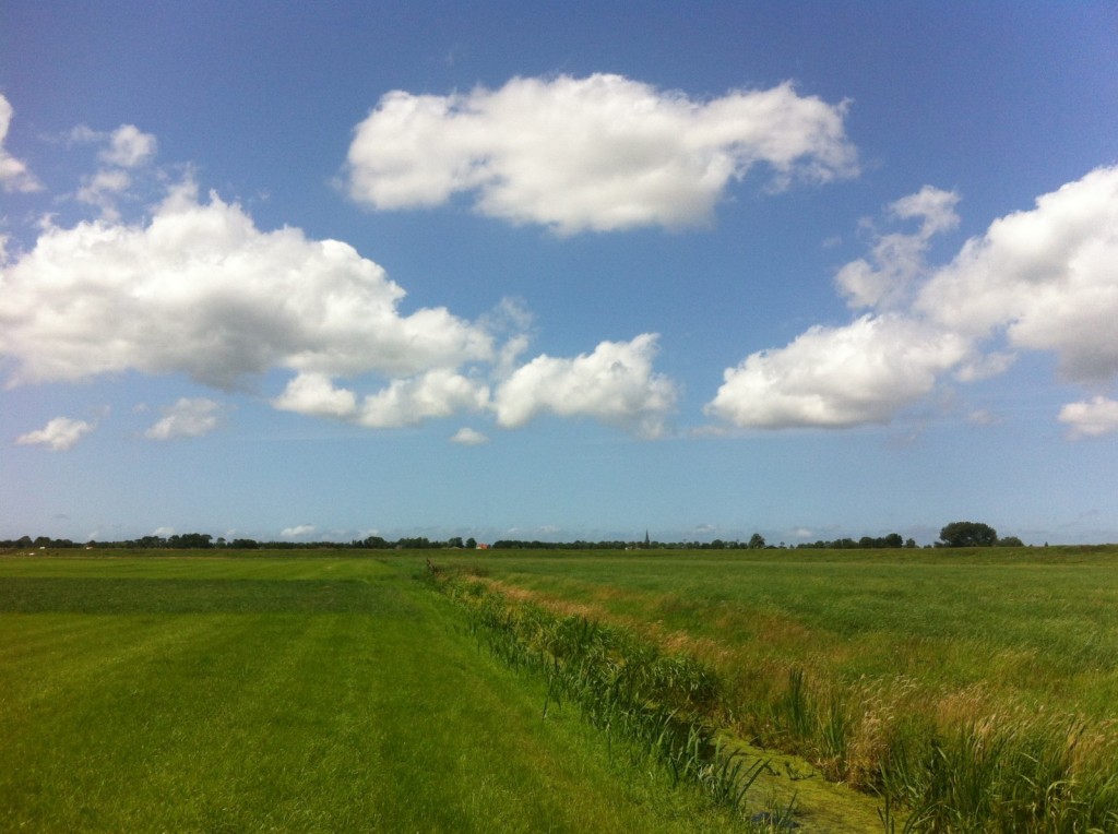 Location in the Dutch country side where researchers tested their prototype waders. Credit: Tim van Emmerik
