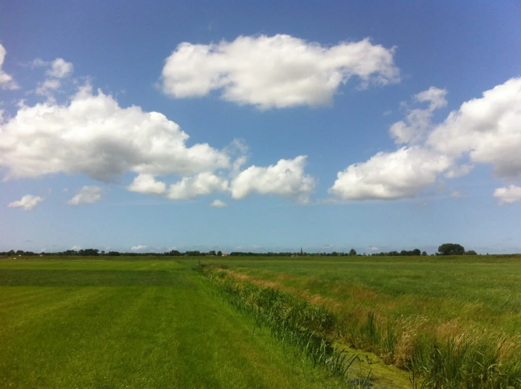 Location in the Dutch country side where researchers tested their prototype waders. Credit: Tim van Emmerik