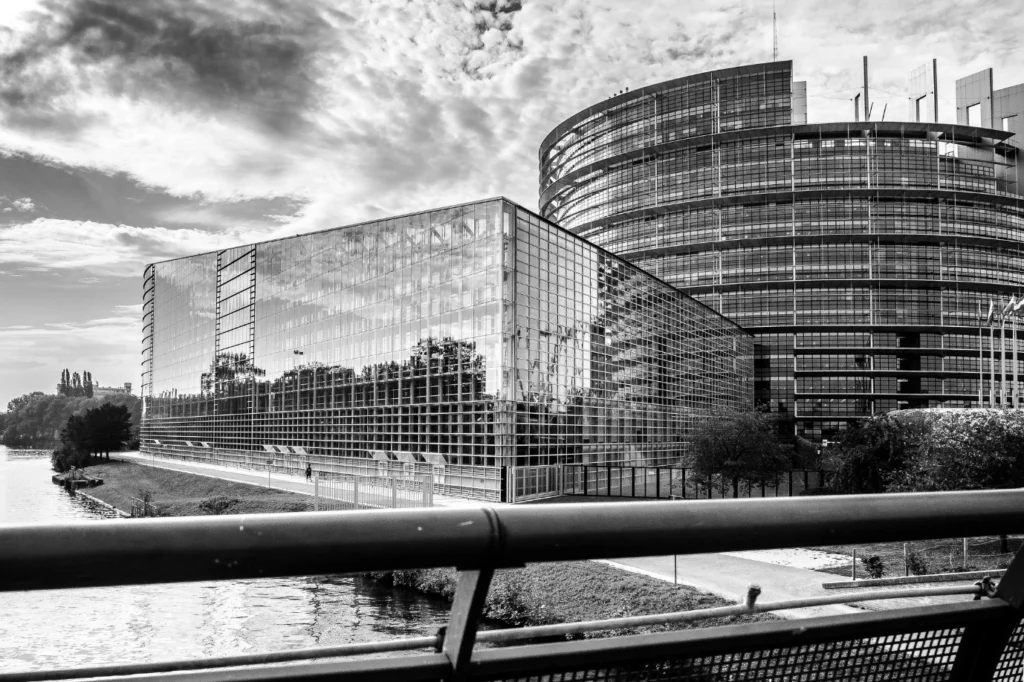 GeoPolicy: How do Members of European Parliament learn about science?