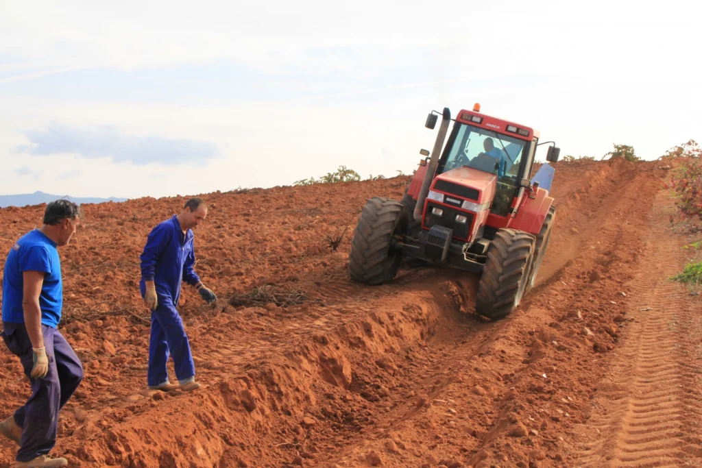 Geosciences Column: The World’s soils are under threat