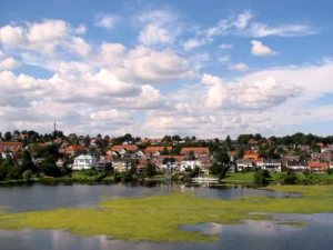 Eutrophication in lake Slotsø, Kolding, Denmark. Credit: Alevtina Evgrafova (distributed via imaggeo.egu.eu)