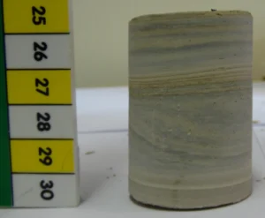 Rock sample before it is placed into the Hoek Cell. Image Credit: Stephanie Zihms